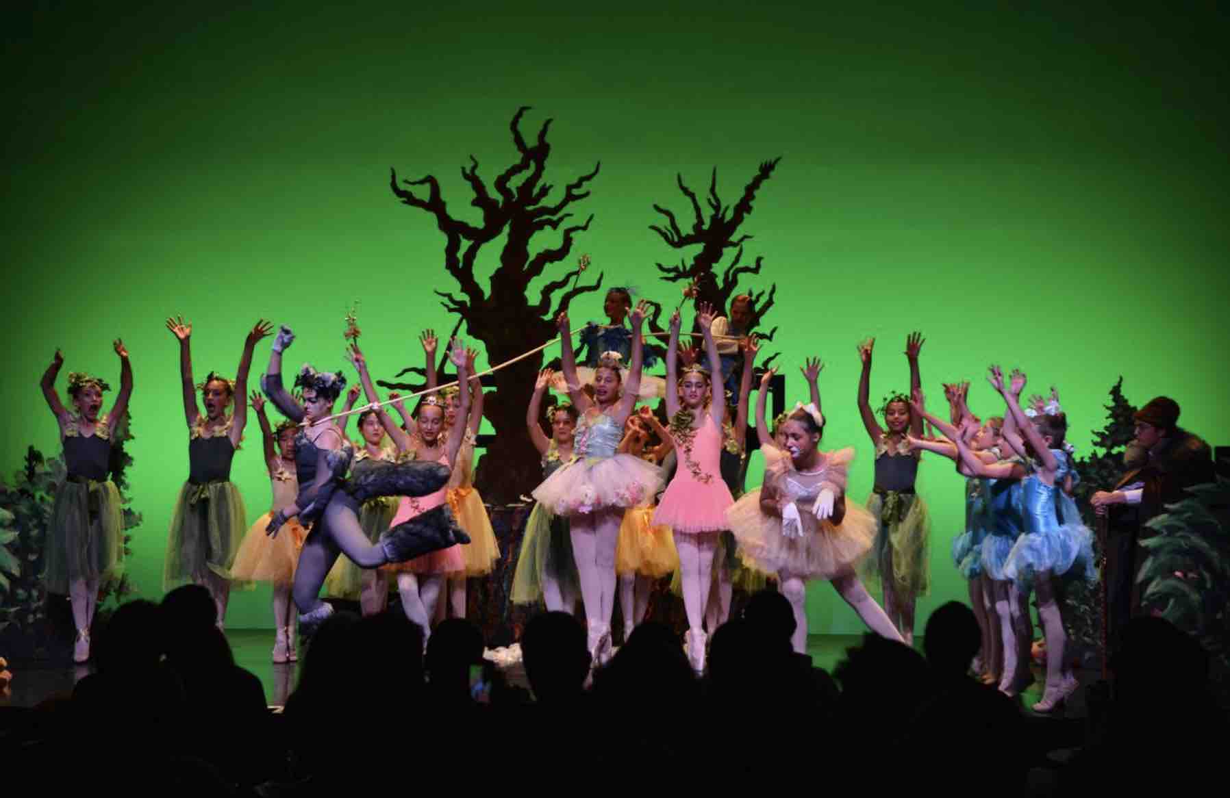 Hampton Ballet Theatre School Presents Annual Performances of Peter and the Wolf